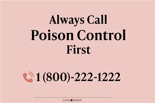 Poison Control чакырыңыз