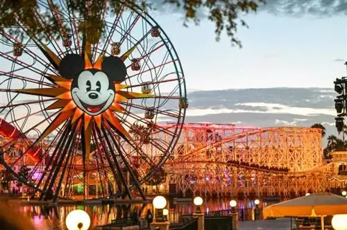 12 de las atracciones más populares de Disneyland por las que vale la pena hacer cola