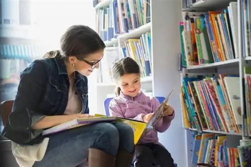 Leitores fáceis gratuitos para o ensino fundamental