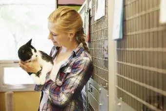 Gruaja vullnetare në strehën e kafshëve duke përkëdhelur mace
