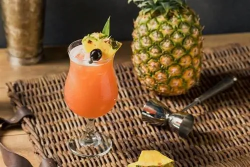 Rum-Runner-Rezepte, von denen Sie nicht genug bekommen werden