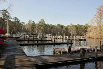 Štátny park Pocomoke River