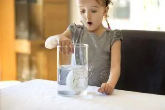 Niño se sorprende al ver un huevo grande y poroso hundiéndose en un vaso de precipitados