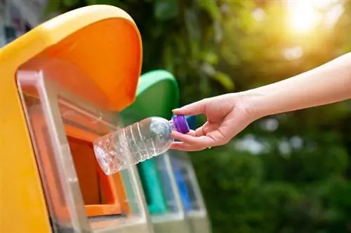8 organitzacions de reciclatge sense ànim de lucre que tenen un impacte positiu