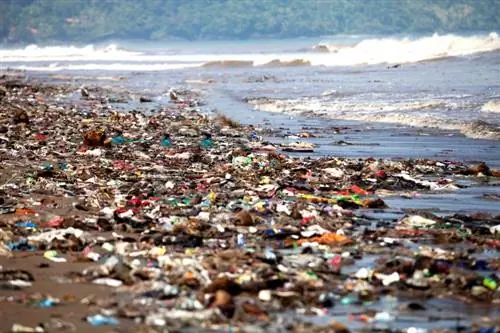 Types de pollution des océans