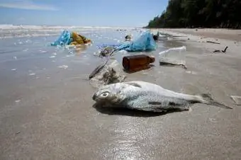 szennyezett strand