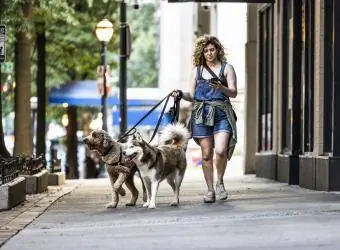 Sieviete pastaigā suņus