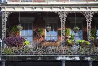 Çiçekli klasik Fransız balkonları
