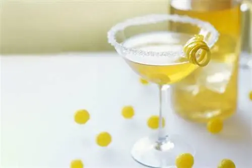 Basit, Sofistike İçecekler için Limonlu Martini Tarifleri