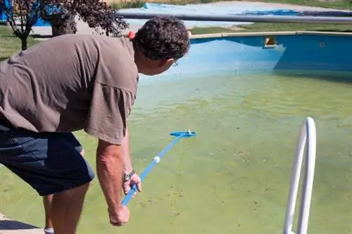 Identifier les taches de piscine et les éliminer efficacement