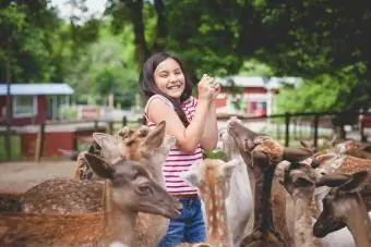 Момиче гали елени в зоологическа градина