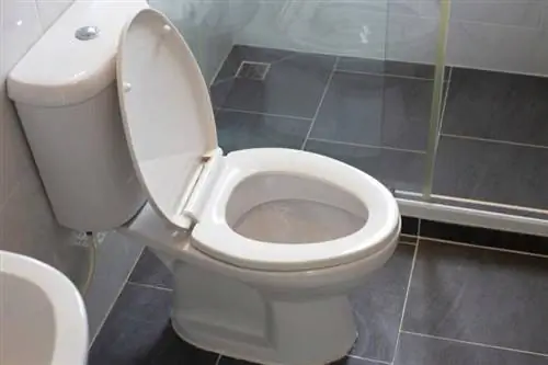 Fırça Gerektirmeyen 7 Harika Tuvalet Temizleme Tüyosu