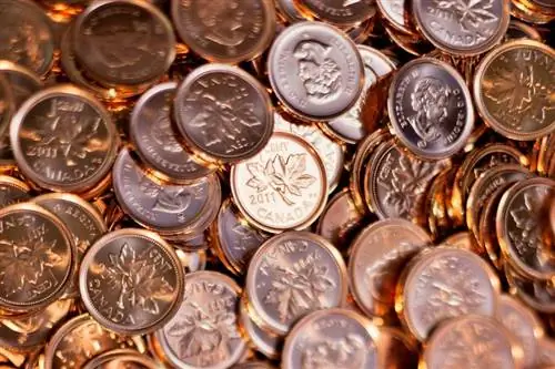 10 Uang Paling Langka & Uang Kanada Paling Berharga Senilai Satu Mint