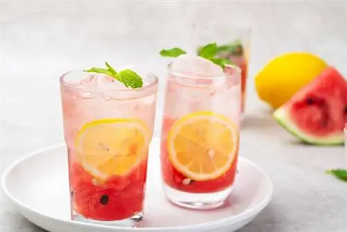 Tất cả về cocktail mùa xuân: Món ưa thích trong mùa của một nhà pha chế