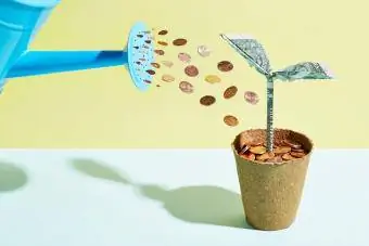 Origami dollar planta som vattnas med mynt