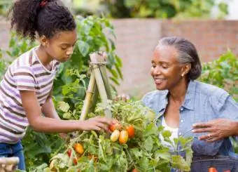 donna e nipote che raccolgono frutta