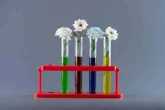 kvetinový vedecký experiment