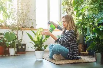 žena koja prska neem ulje na biljke