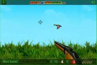 Екранна снимка на играта The Duck Hunter