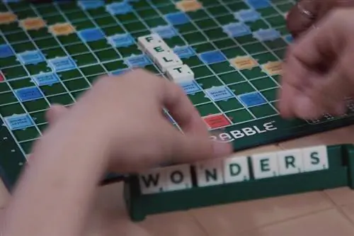 Scrabble Blast haqida hamma narsa: mashhur so'z o'yinidan nimani kutish kerak