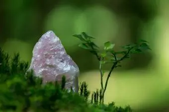 Rožinis kvarco kristalas sėdi žolėje