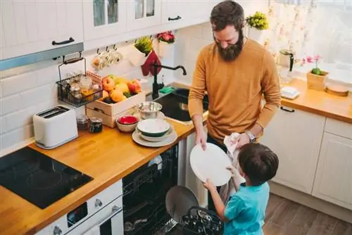 Что можно использовать вместо средства для посудомоечной машины? 7 альтернатив
