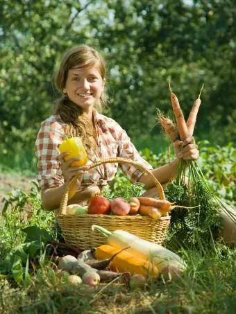 lavoro agricolo