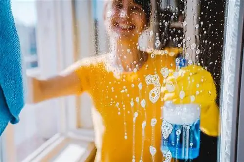 15 vychytávok na čistenie sprchy, ktoré šetria čas & Úsilie