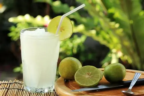 7 Crisp Ranch Water Cocktails for en fristende smag af Texas