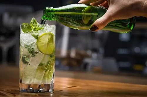 6 Light & Освежающие коктейли из сельтерской воды, которые пощекочут ваши вкусовые рецепторы