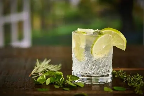 10 Spritz-cocktailoppskrifter for lett forfriskning