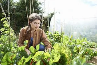 Mujer cuidando verduras