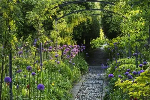 23+ lila Blumen, die Ihrem Garten einen Hauch von Farbe verleihen