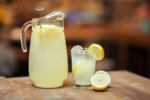 12 przepisów na pijacką lemoniadę na łyk słońca