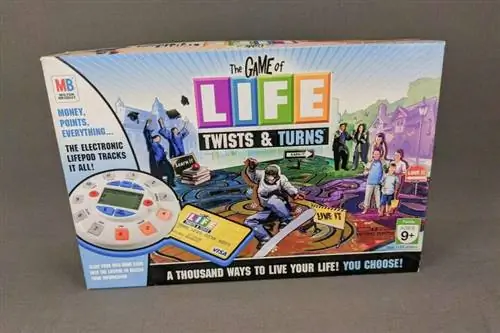 Waar het bij The Game of Life: Twists & Turns om draait