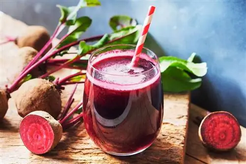 7 Earthy & Lindos coquetéis de suco de beterraba