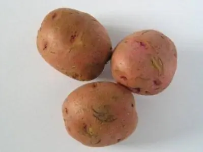 Patates Ekimi