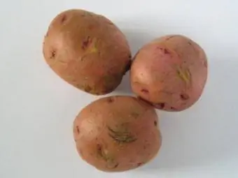 Üç Kırmızı Patates