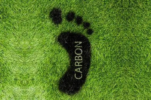 ما هو متوسط البصمة الكربونية؟