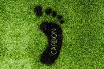 Süsiniku jalajälg