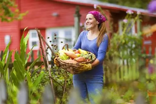 10 سبزی خوشمزه برای کاشت در بهار