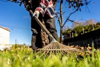 Mann plukker blader i hagen