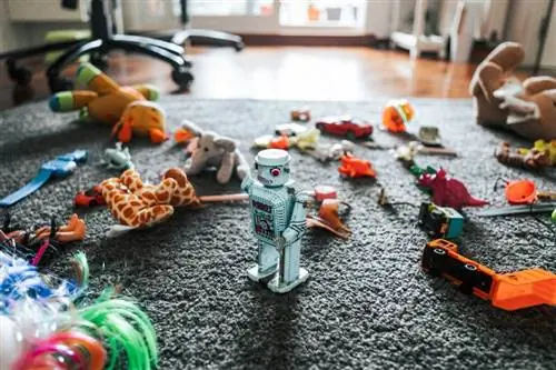 Les jouets les plus précieux de votre enfance révélés