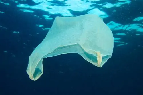 Bolsas de plástico en el océano