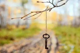 กุญแจเก่าโบราณแขวนอยู่บนต้นไม้