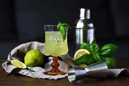 Recept za Martini s bosiljkom i varijacije za sofisticirani okus