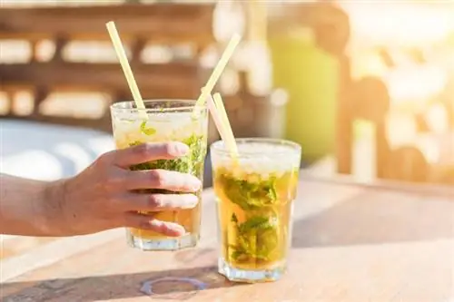 9 Bacardi pića koja će vam omogućiti da okusite tropske krajeve