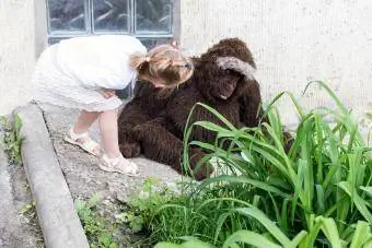 Lány reális kitömött gorilla játékot néz