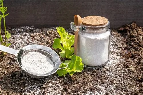 Paano Gamitin ang Diatomaceous Earth para Kontrolin ang Hardin & Mga Peste ng Halaman