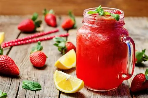 8 jugosos cócteles sin alcohol de fresa con sabor vibrante